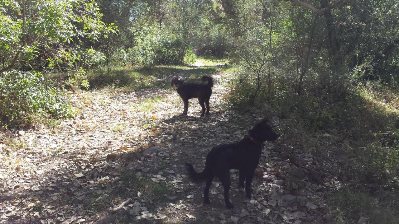 לינה וארוחת בוקר Tubac Rancho Santa Cruz מראה חיצוני תמונה